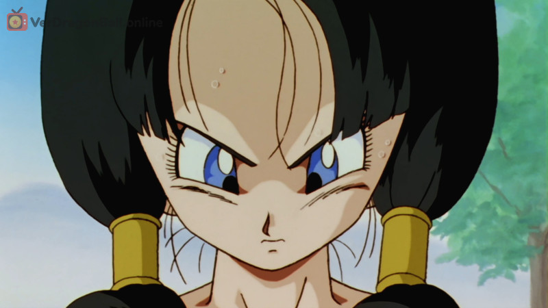 Dragon Ball Kai 104 Castellano