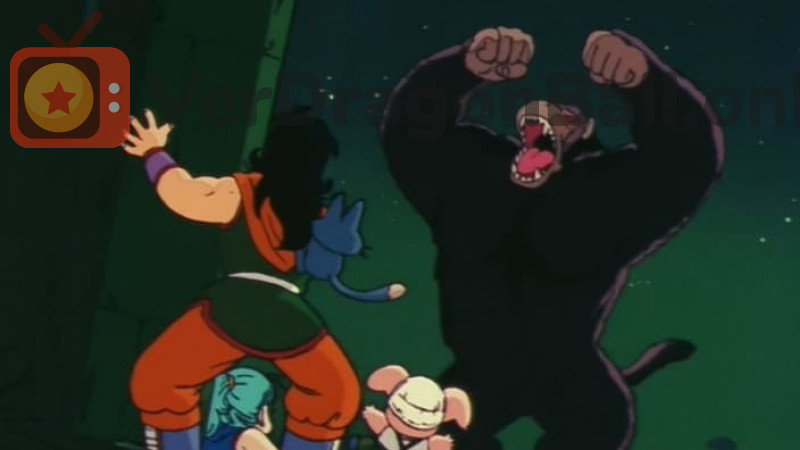 Dragon Ball 13 Castellano