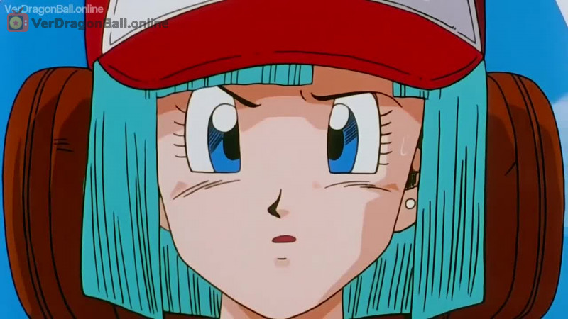 Dragon Ball Z 141 Castellano