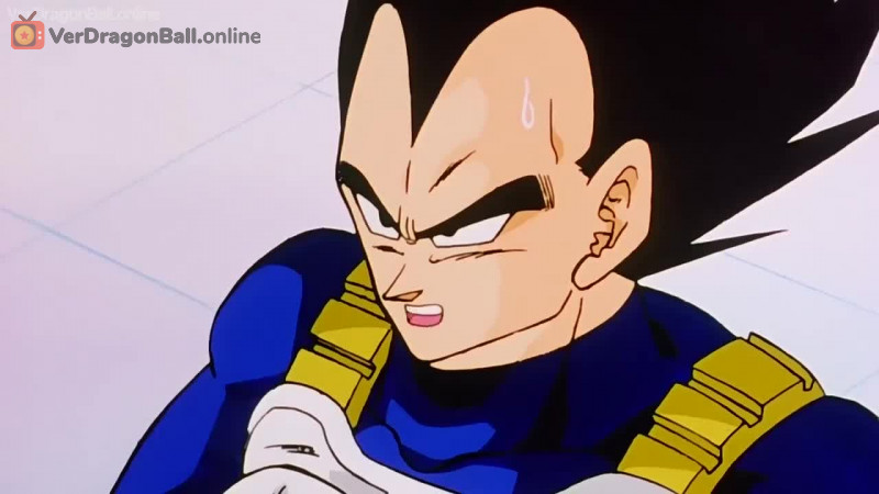 Dragon Ball Z 169 Español