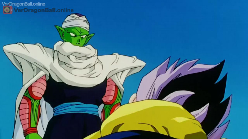 Dragon Ball Z 251 Castellano