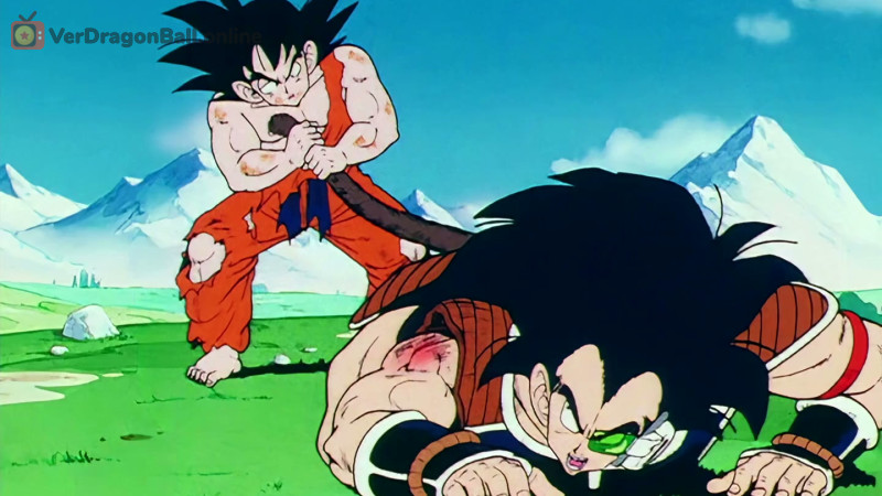 Dragon Ball Z 4 Castellano