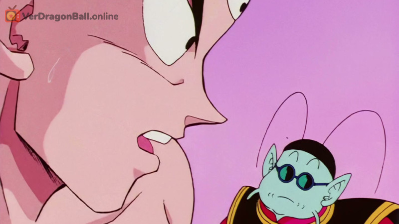 Dragon Ball Z 55 Castellano